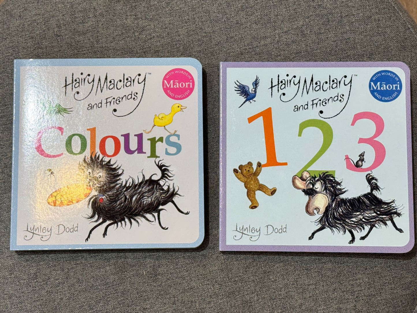 Hairy Maclary Board Book