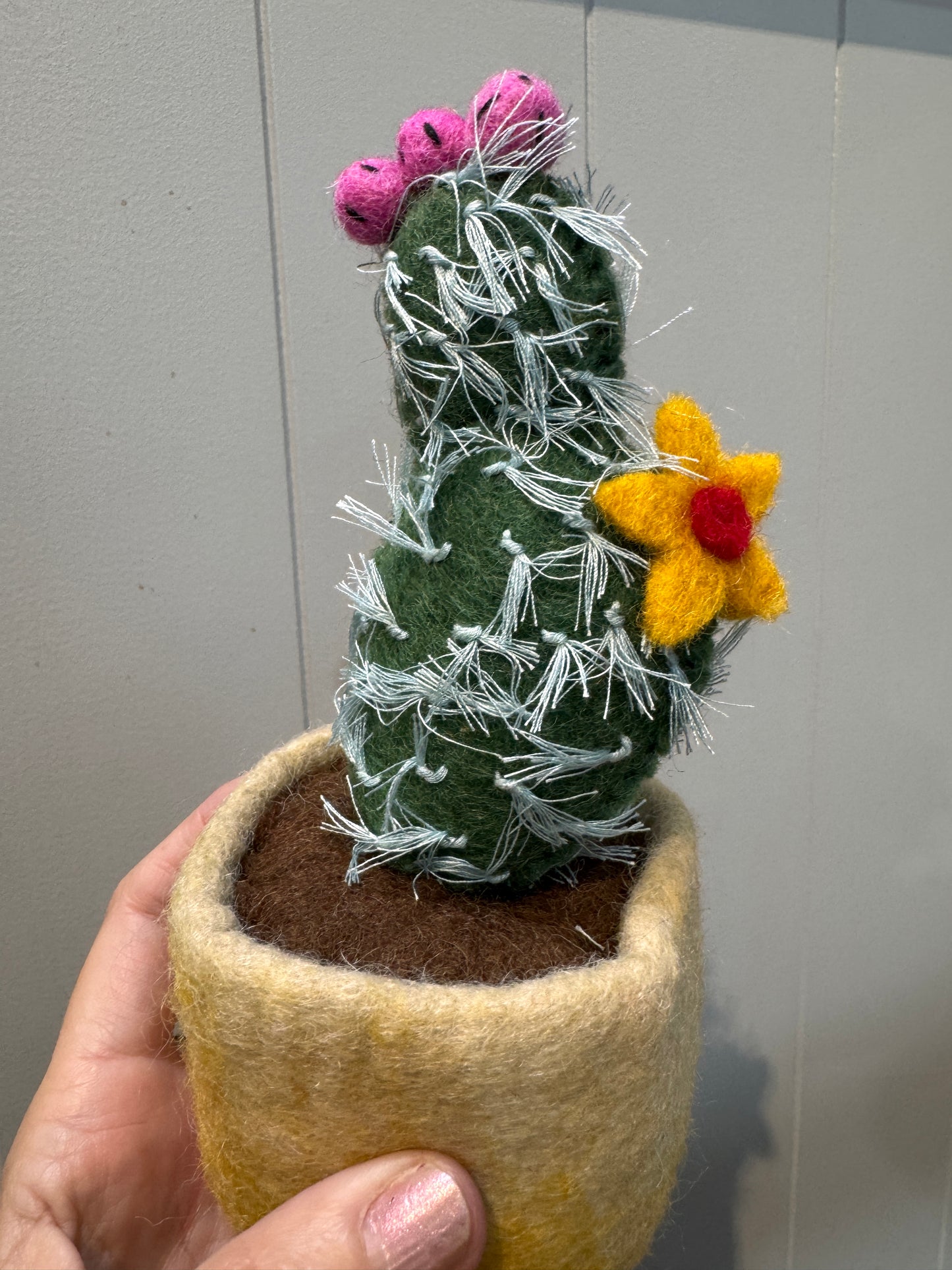 Felt Plant