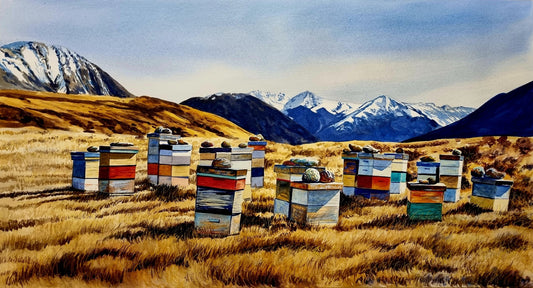 Beehives at Craigeburn