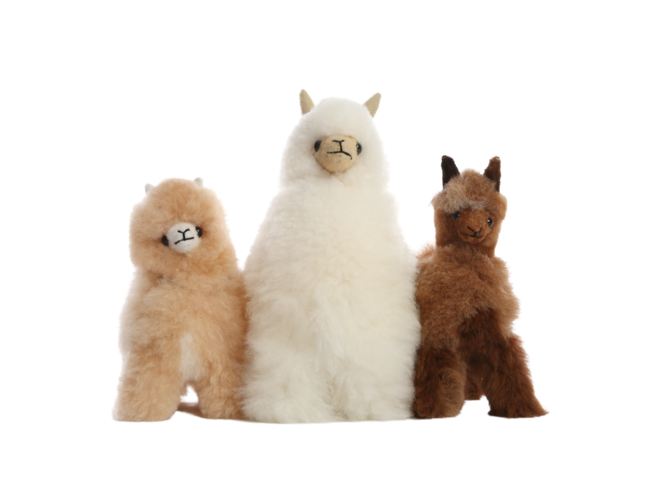 Baby Alpaca