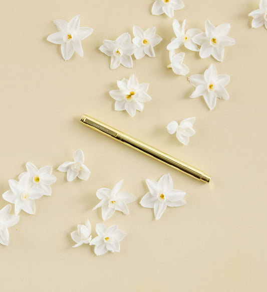 Metal Rollerball Pen