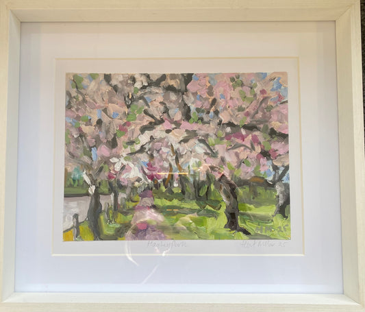 Hagley Park