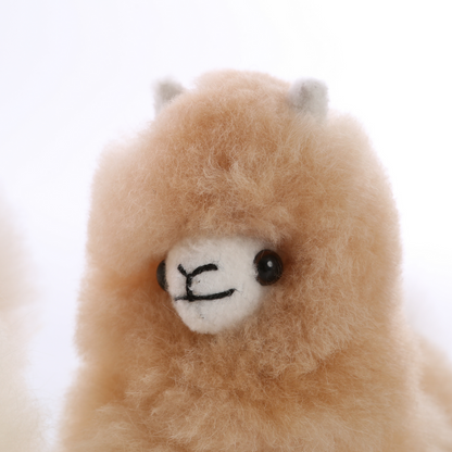 Baby Alpaca