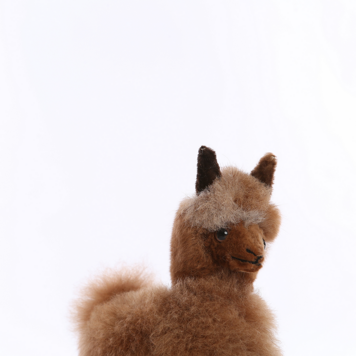 Baby Alpaca