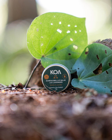 Kawakawa Lip Balm
