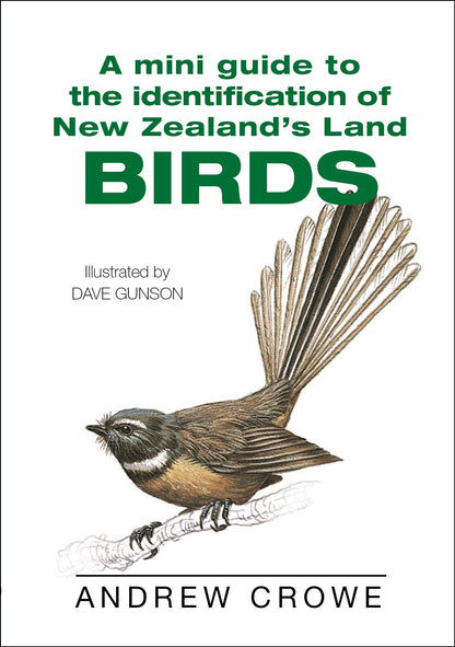 A Mini Guide to the Identification of NZ ...