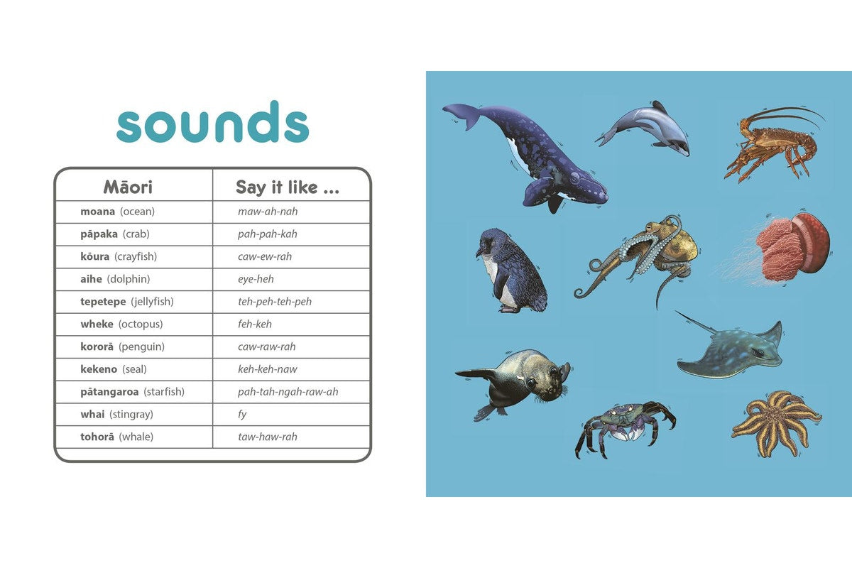Bilingual Kiwi Babies