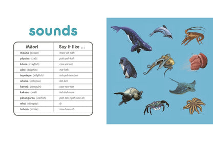 Bilingual Kiwi Babies