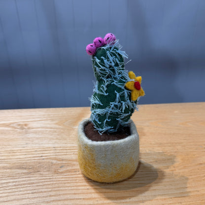 felt cactus with a pink and yellow flower