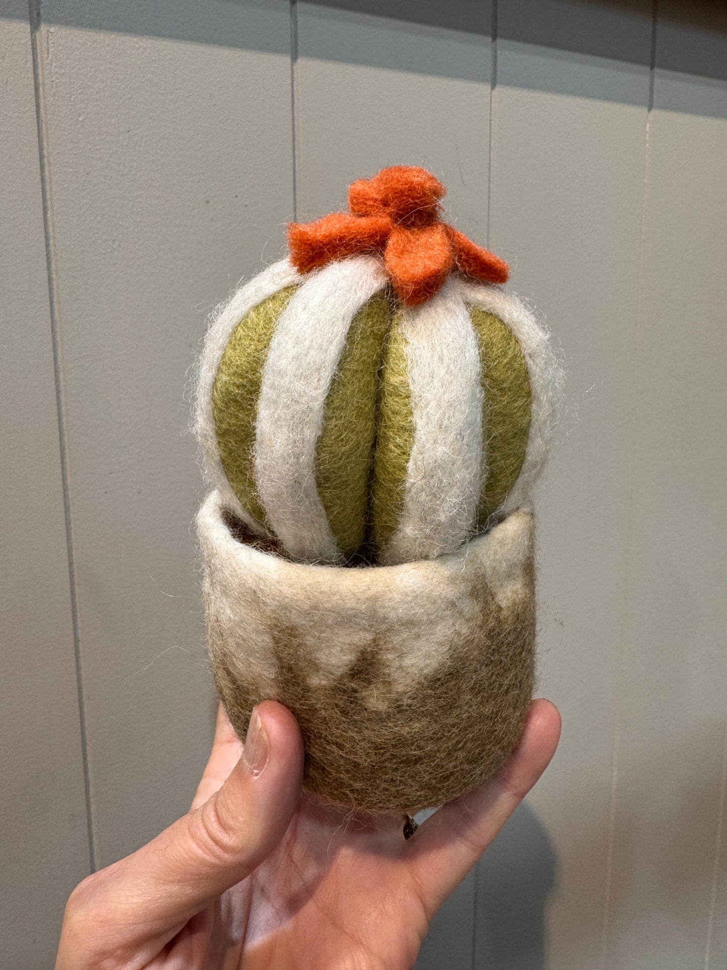 Felt Plant