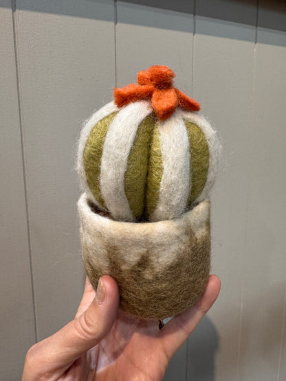 Felt Plant