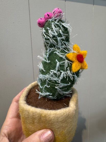 Felt Plant