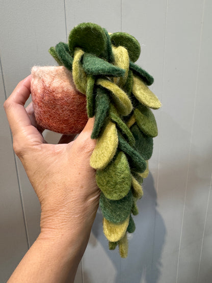 Felt Plant
