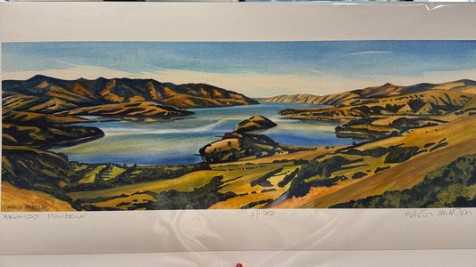 Print of Akaroa Harbour Painting by Kelvin McMillan