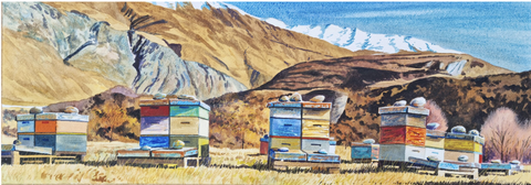 Beehives Matukituki Valley